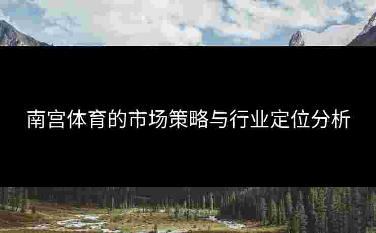 南宫体育的市场策略与行业定位分析