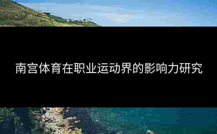 南宫体育在职业运动界的影响力研究