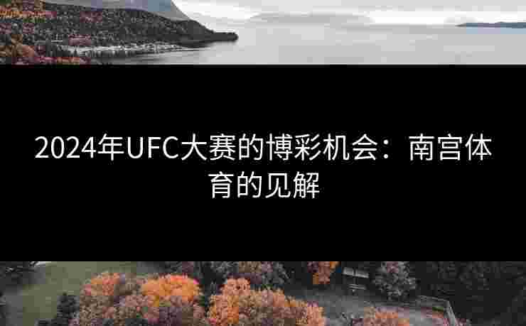 2024年UFC大赛的博彩机会：南宫体育的见解