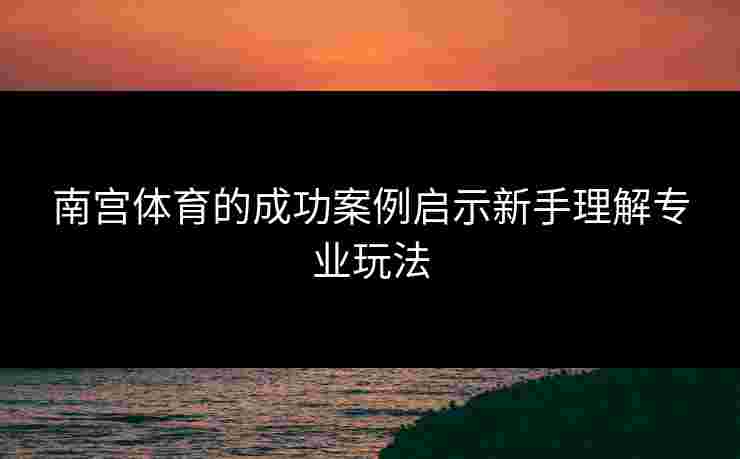 南宫体育的成功案例启示新手理解专业玩法