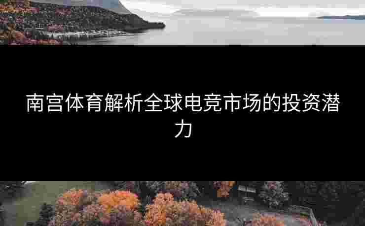南宫体育解析全球电竞市场的投资潜力