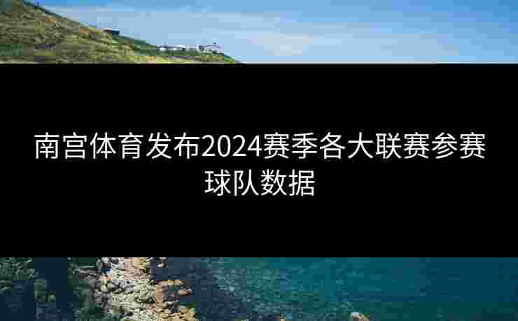 南宫体育发布2024赛季各大联赛参赛球队数据