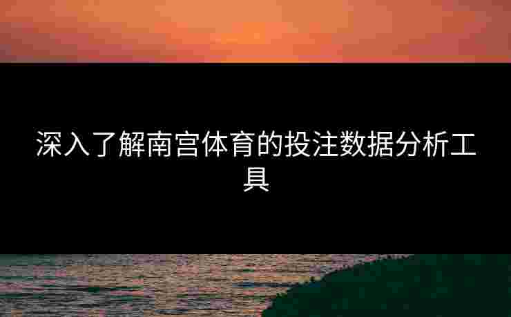 深入了解南宫体育的投注数据分析工具